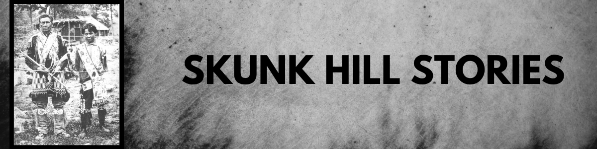 Web banner Skunk Hill Stories